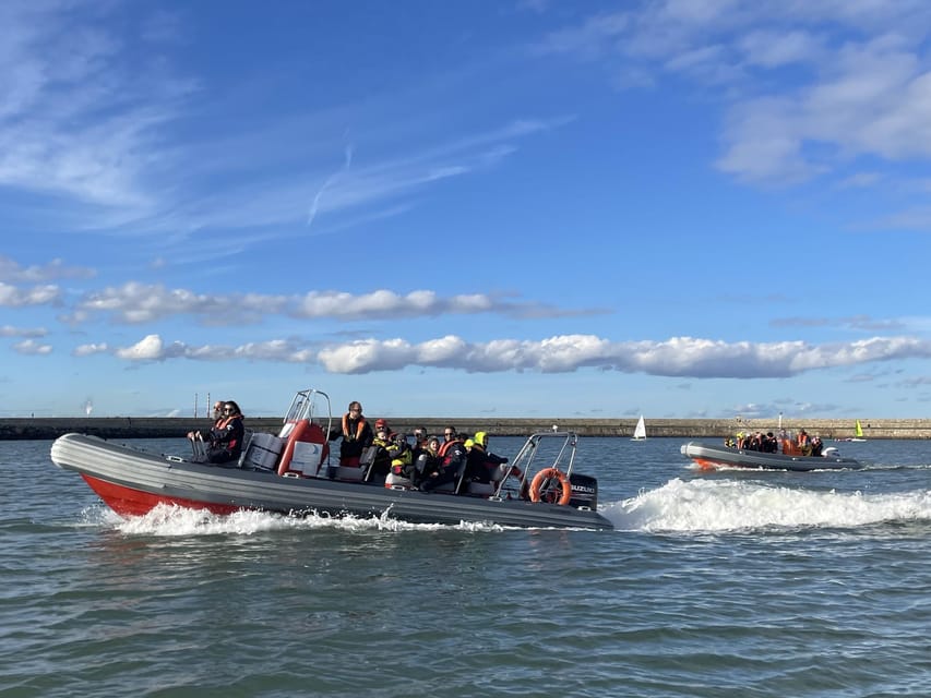 Guided Boat Tour around Dublin Bay - Wildlife: what to watch for