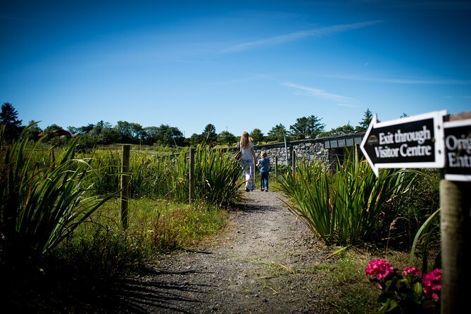 Guided Doolin Cave Tour: Experience Europe's Largest Stalactite - Who will enjoy this cave most