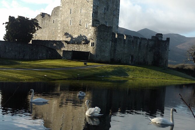 Guided Killarney National Park Walking Tour - From St. Mary’s Cathedral into Killarney National Park