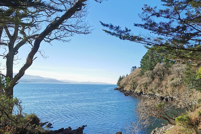 Guided Tour The Ring of Kerry, Skellig Ring and Valencia Island - Key points to know before booking