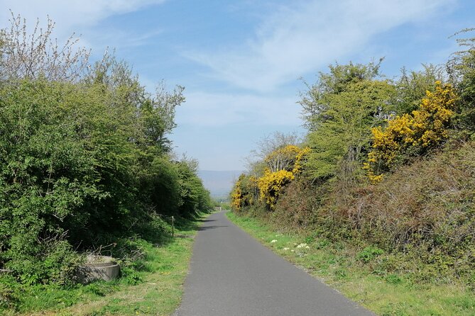 Guided Walking Tour in stunning county Waterford Ireland - New Bridge and archaeology older than the pyramids