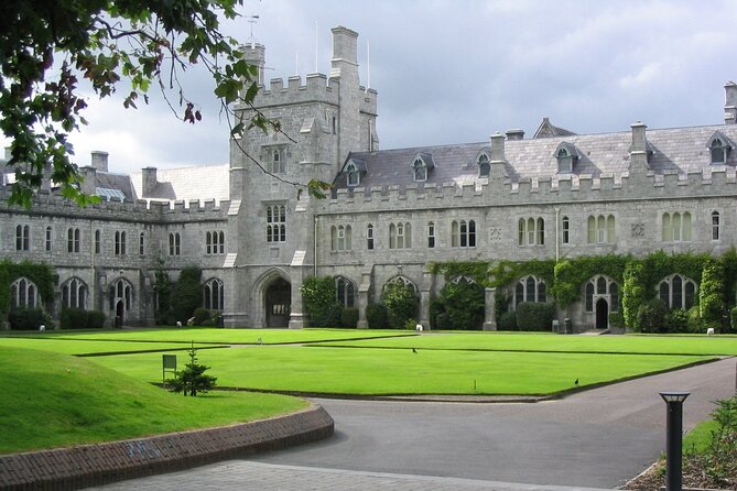 Historic Gems Unveiled: Private Walking Tour of Cork - Patrick Street shows Cork in motion