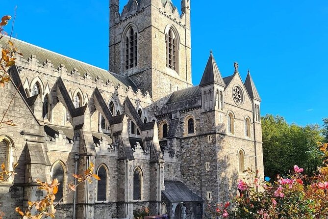 Historical Walking Tour of Dublin - Group size, walking effort, and timing