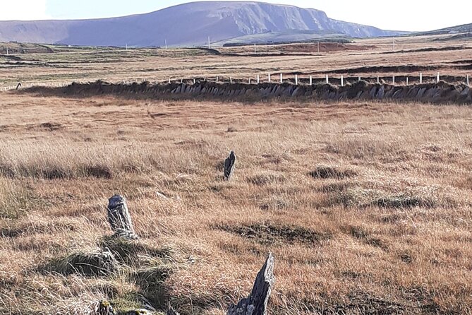 Historical Walking Tours in Valentia and the Skellig Region - Who will get the most from this walk