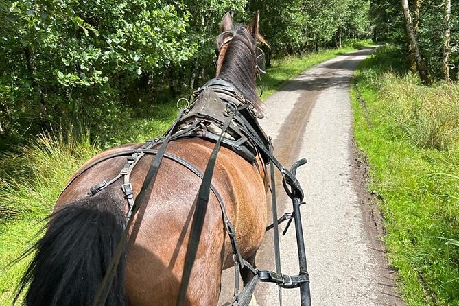 Horse-Drawn Carriage Tours in Killarney - The Lakes of Killarney and Inisfallen