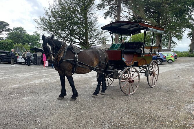 Horse-Drawn Carriage Tours in Killarney - Why the private format matters