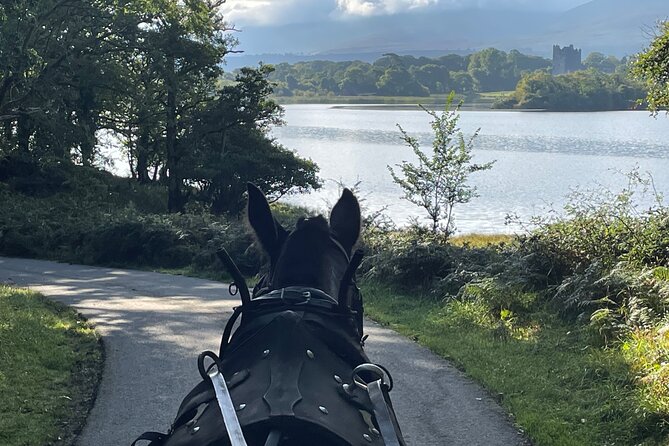 Horse-Drawn Carriage Tours in Killarney - Weather, comfort, and the best time to go