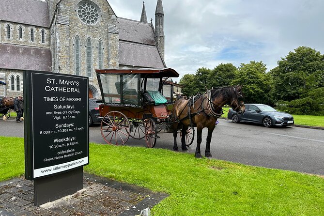 Horse-Drawn Carriage Tours in Killarney - Deenagh Lodge, the river, and the Deer Parks
