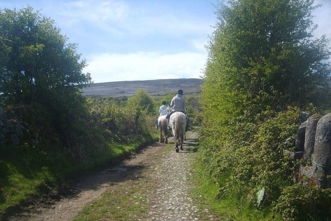 Horse riding - Burren Trail. Lisdoonvarna, Co Clare. Guided. 3 hours. - Starting at Mountain View Horse Riding Centre