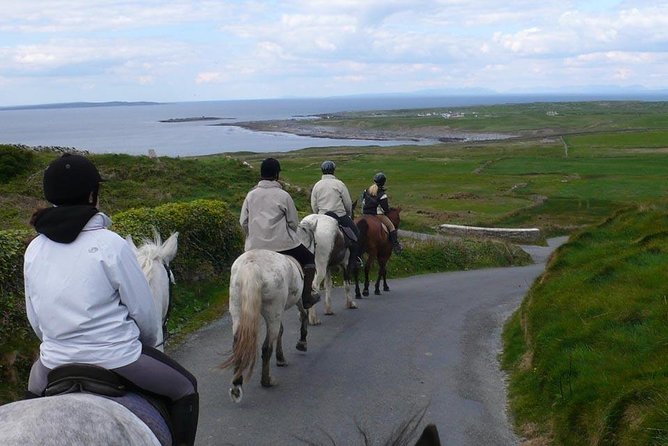 Horse riding - Burren Trail. Lisdoonvarna, Co Clare. Guided. 3 hours. - Weather, safety, and animal welfare
