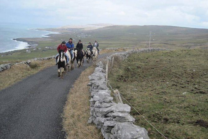 Horse riding - Burren Trail. Lisdoonvarna, Co Clare. Guided. 3 hours. - Planning your day around Poulnagun