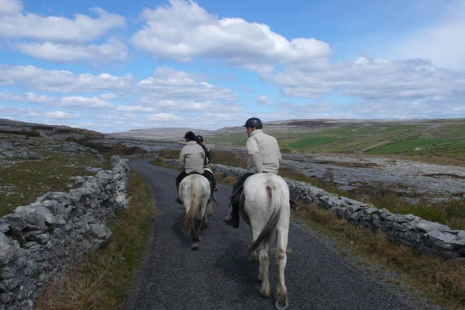 Horse riding - Burren Trail. Lisdoonvarna, Co Clare. Guided. 3 hours. - How the pace works for mixed abilities