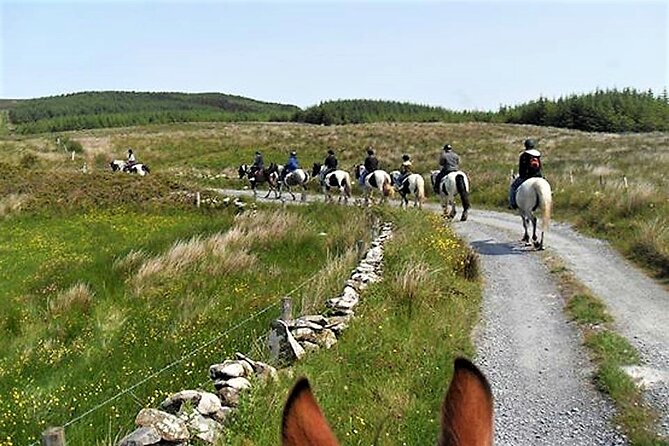 Horse riding - Dirt Trek Trail. Lisdoonvarna, Clare. Guided. 1 hour. - Panoramas Toward The Cliffs And Islands