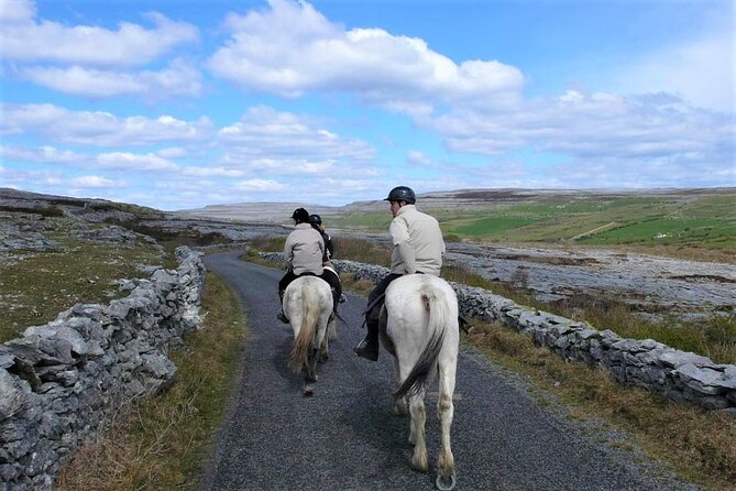 Horse riding - Dirt Trek Trail. Lisdoonvarna, Clare. Guided. 1 hour. - Why The One-Hour Length Works, And Where It Falls Short