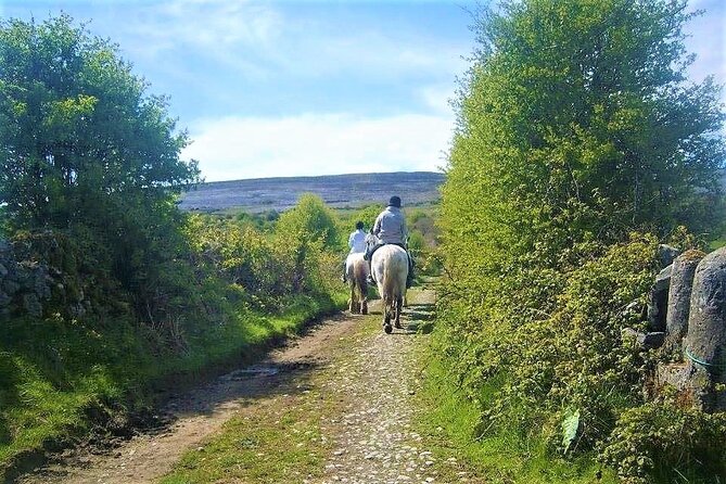 Horse riding - Dirt Trek Trail. Lisdoonvarna, Clare. Guided. 1 hour. - A Price That Depends On Your Priorities