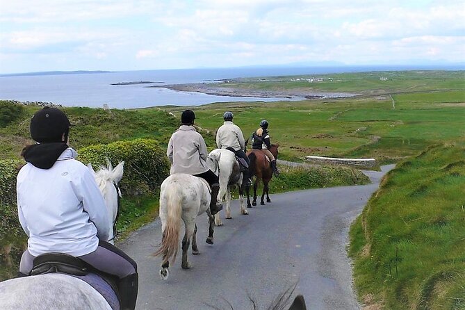 Horse riding - Dirt Trek Trail. Lisdoonvarna, Clare. Guided. 1 hour. - Through Clare Woodland And Famine Ruins