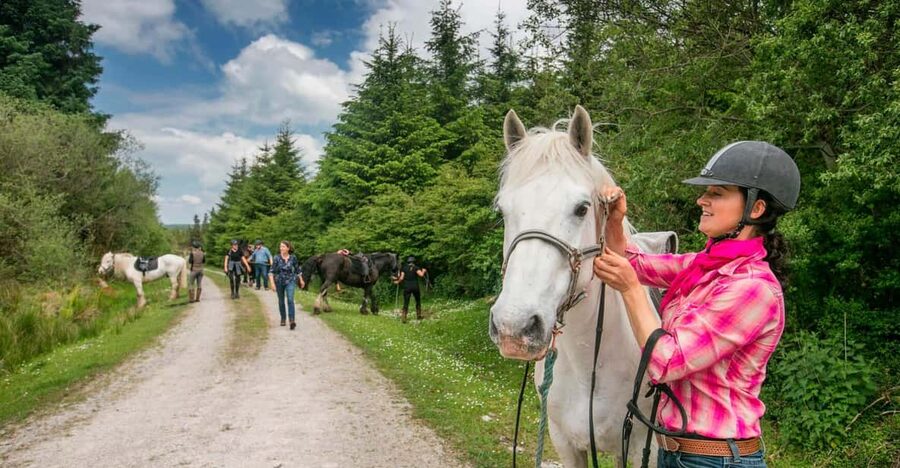 Horse riding the dirt trail. Clare. Guided. 1 hour - Key points to know before booking