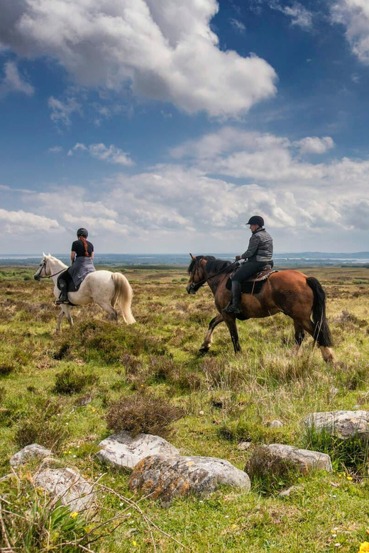 Horse riding the dirt trail. Clare. Guided. 1 hour - What this one-hour Clare ride is really like