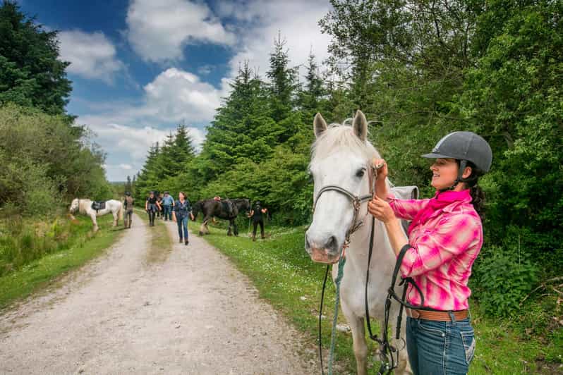 Horse riding the dirt trail. Clare. Guided. 1 hour - Starting near Doolin and Doolin Cave