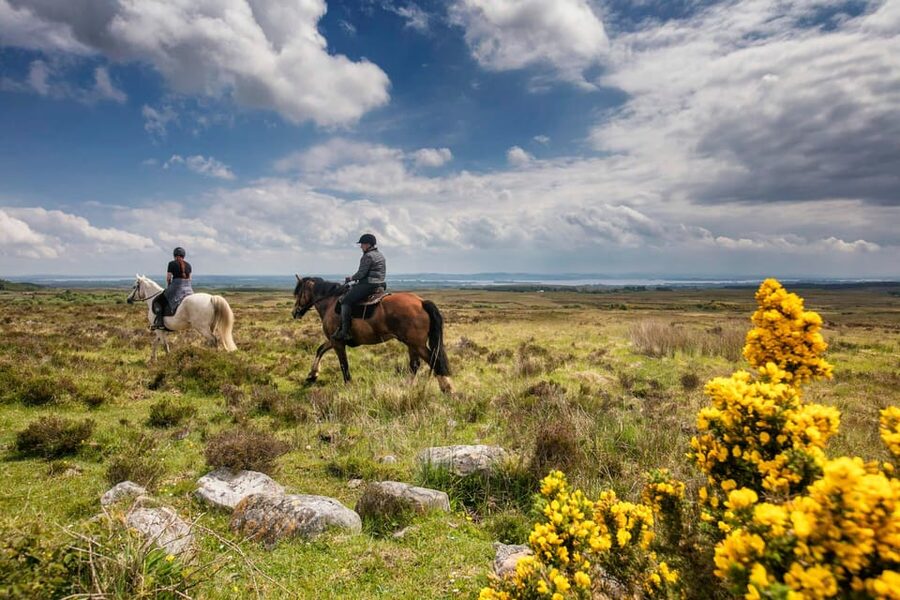 Horse riding the mountain trail. Clare. Guided, 2 hours - Through Woods, Green Roads, and Slieve Elva