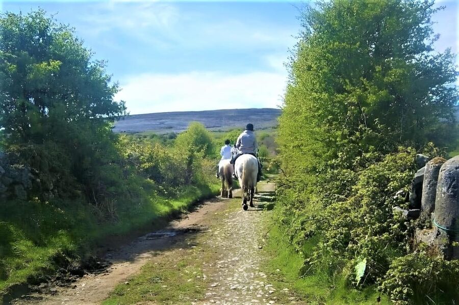 Horse riding the mountain trail. Clare. Guided, 2 hours - Is $158 Good Value for Two Hours?