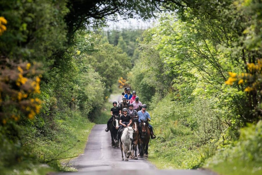 Horse riding the mountain trail. Clare. Guided, 2 hours - The Views from 1,200 Feet Above the Atlantic