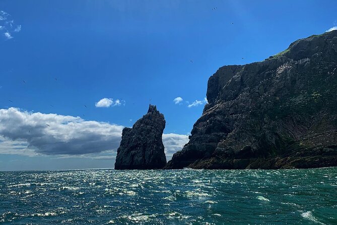 Howth Cliffs and Ireland's Eye Ferry Boat Tour - Timing, access, and how to fit it into Howth