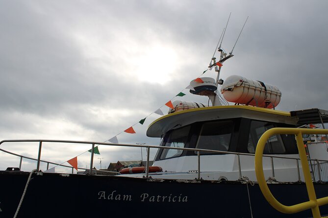 Howth Cliffs and Ireland's Eye Ferry Boat Tour - Who will enjoy this Howth cruise most?
