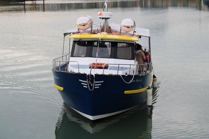 Howth Cliffs and Ireland's Eye Ferry Boat Tour - Around Ireland’s Eye and its Martello Tower