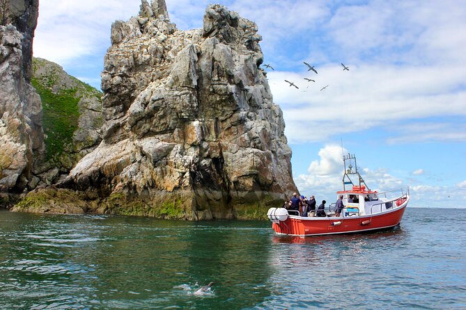 Howth Coastal Boat Tour (Ireland's Eye Ferries 50 mins trip) - Key things to know before you book