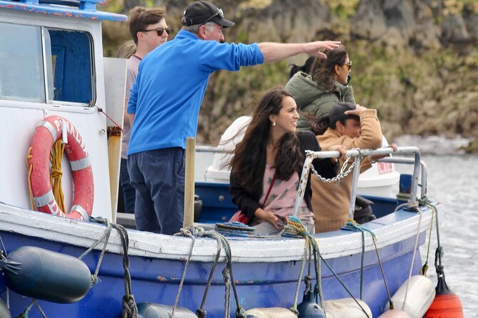 Howth Coastal Boat Tour (Ireland's Eye Ferries 50 mins trip) - Why a boat ride improves your Howth visit