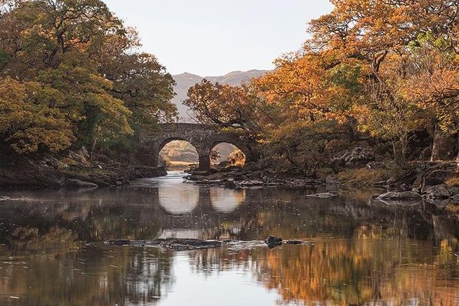 Innisfallen Island - Scenery & history of Killarney National Park - Crossing Lough Leane by open boat