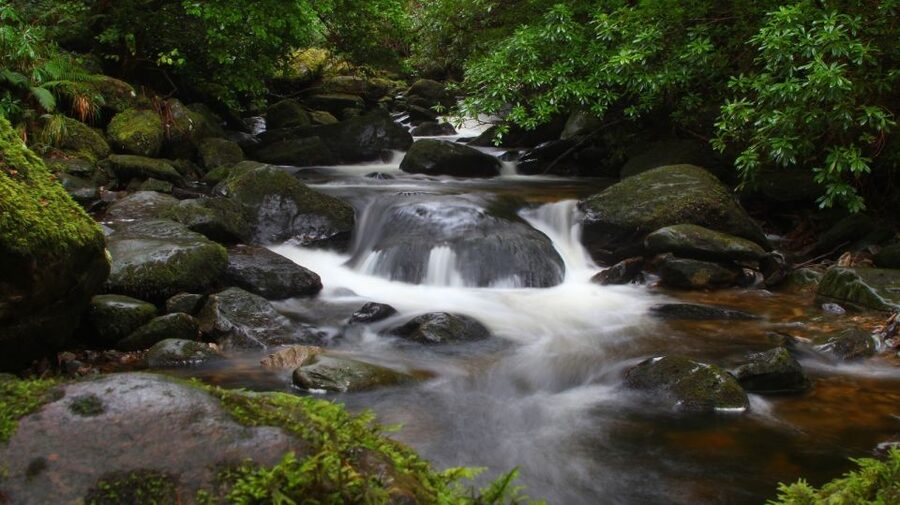 Ireland: 2 Day Wild Atlantic Way Tour - The long return through Adare and the Golden Vale