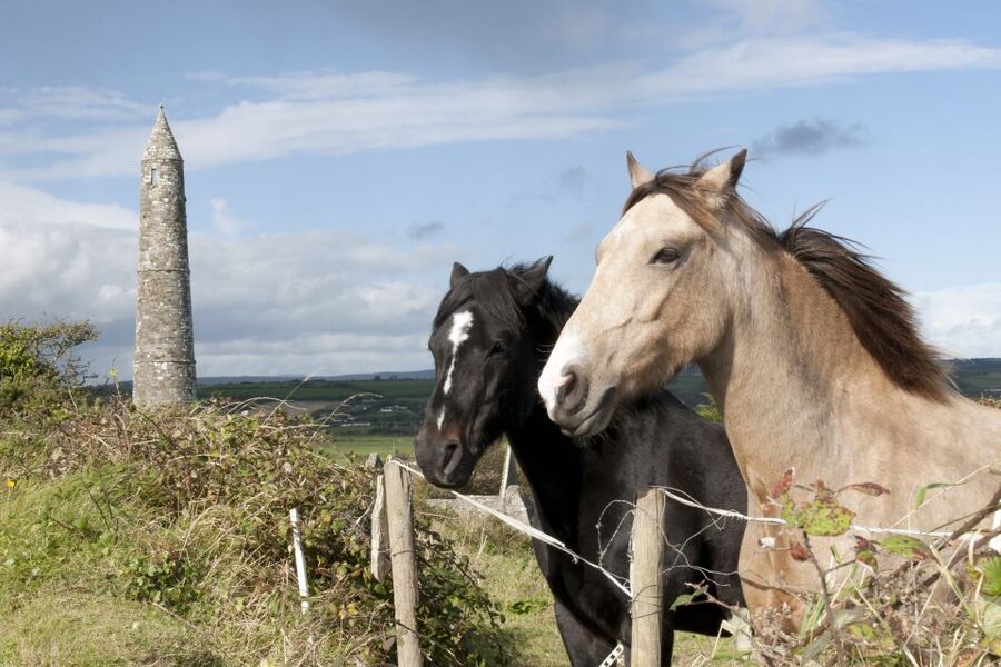 Ireland: Blarney Castle, Kilkenny & Irish Whiskey 3-Day Tour - Who will enjoy this tour most