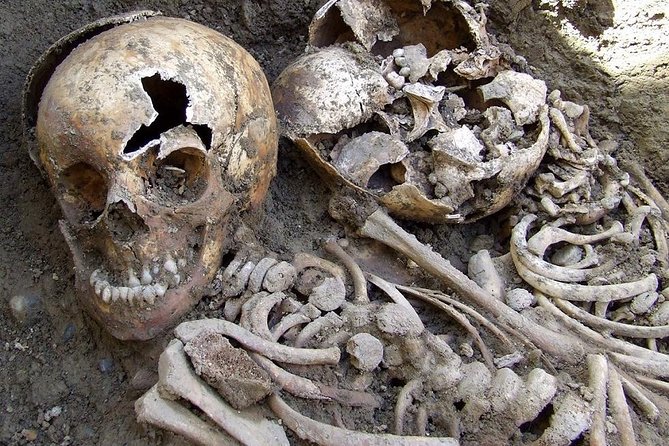 Irish Famine Museum / Exhibition Dublin - Finding the Irish Famine Museum in St. Stephen’s Green