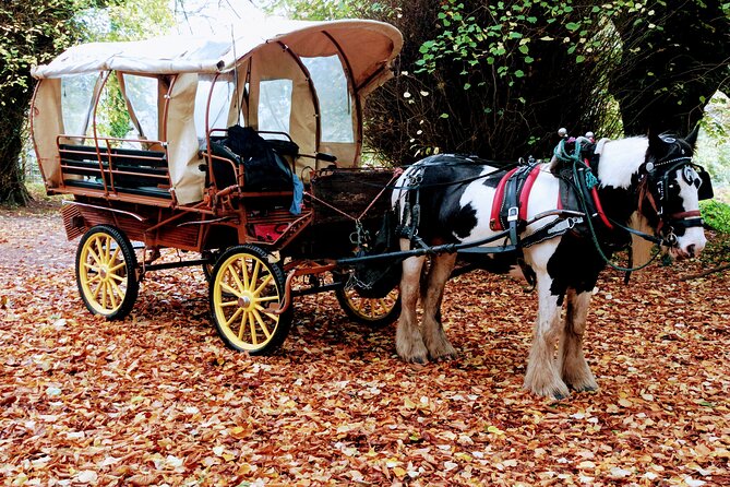Jaunting Car Tour in Killarney National Park - Why a Jaunting Car Fits Killarney