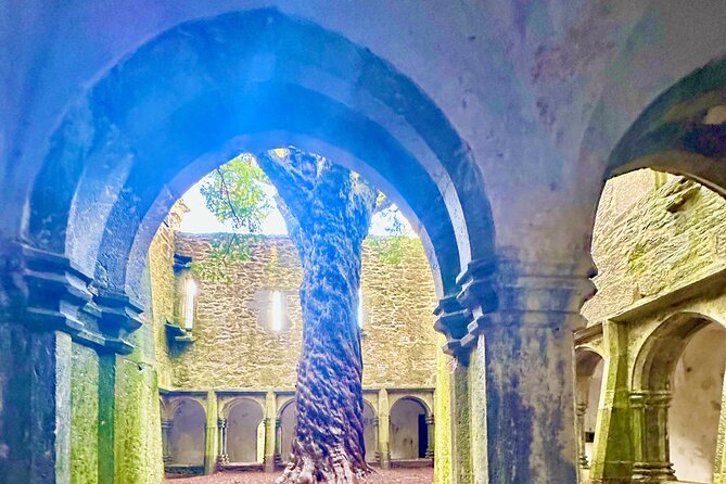 Jaunting Car Tour in Killarney National Park - Stop One: Muckross Abbey and the Poison Yew