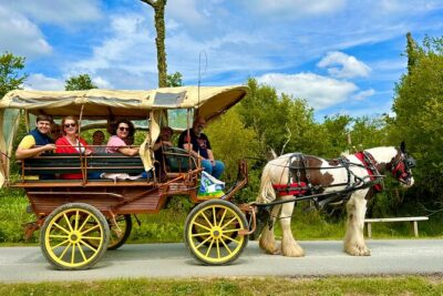 Jaunting Car Tour in Killarney National Park