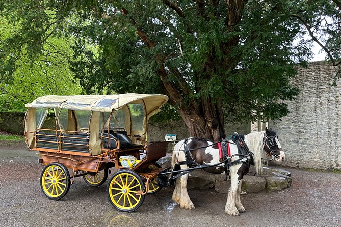 Jaunting Car Tour in Killarney National Park - Is $66.54 a Fair Price?