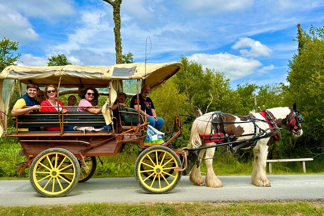 Jaunting Car Tour in Killarney National Park - Forty-Five Minutes Through Killarney National Park