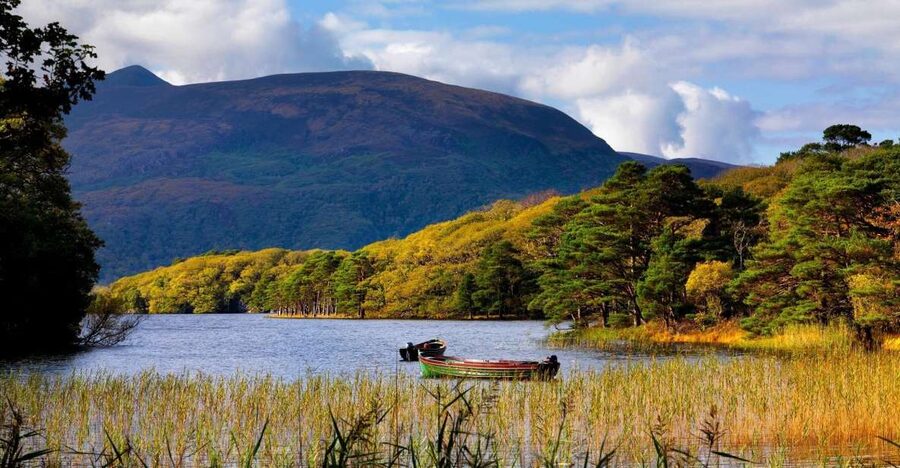 Kerry: Full-Day Tour from Dublin - Killarney National Park supplies the day’s best scenery