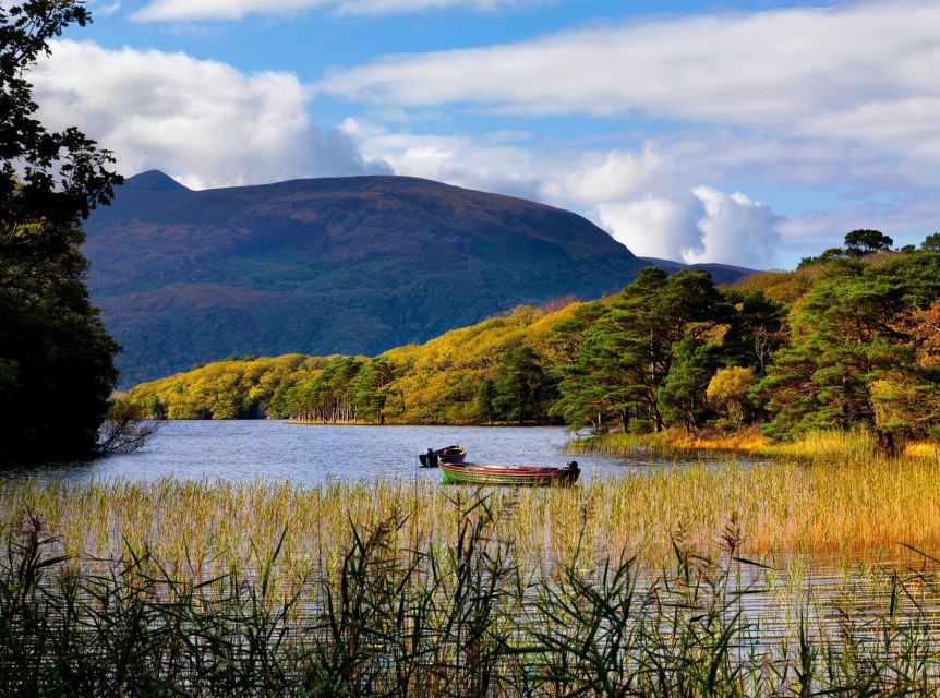 Kerry: Full-Day Tour from Dublin - Inch Beach is the memorable coastal stop