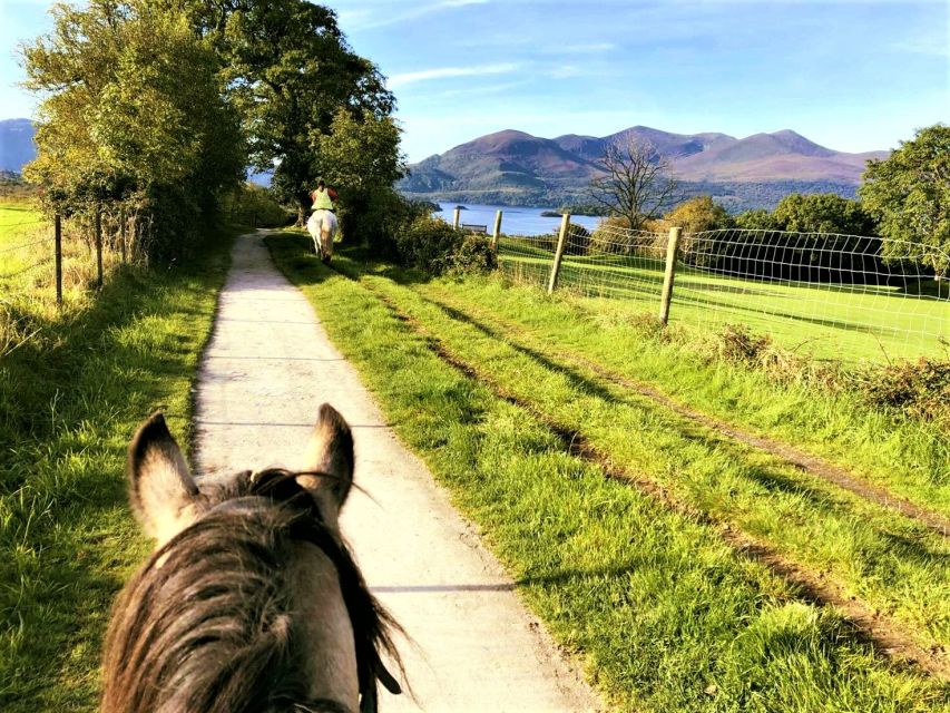 Kerry: Guided Horse Riding Tour in Killarney National Park - Key points to know before booking