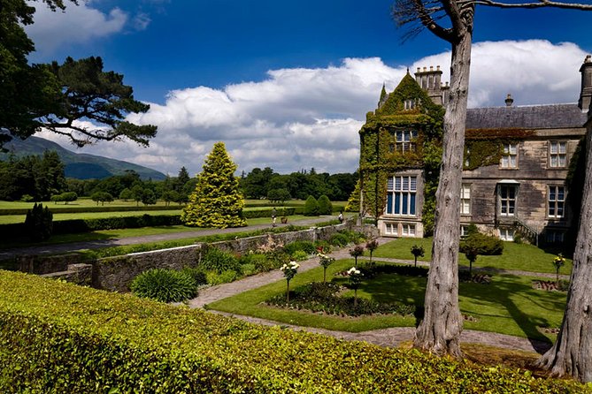 Kerry Highlights Day Tour from Dublin - Killarney town: lunch, shops, and a missed opportunity