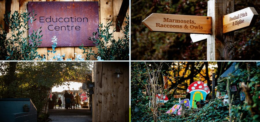 Kildare: Clonfert Farm General Admission Ticket - Key points to know before you go