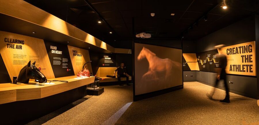 Kildare: Irish National Stud & Gardens - Is the $22 admission good value?