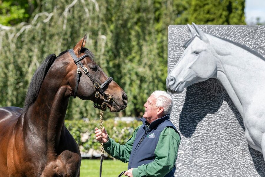 Kildare: Irish National Stud & Gardens - Stallions, mares, and foals in their own setting