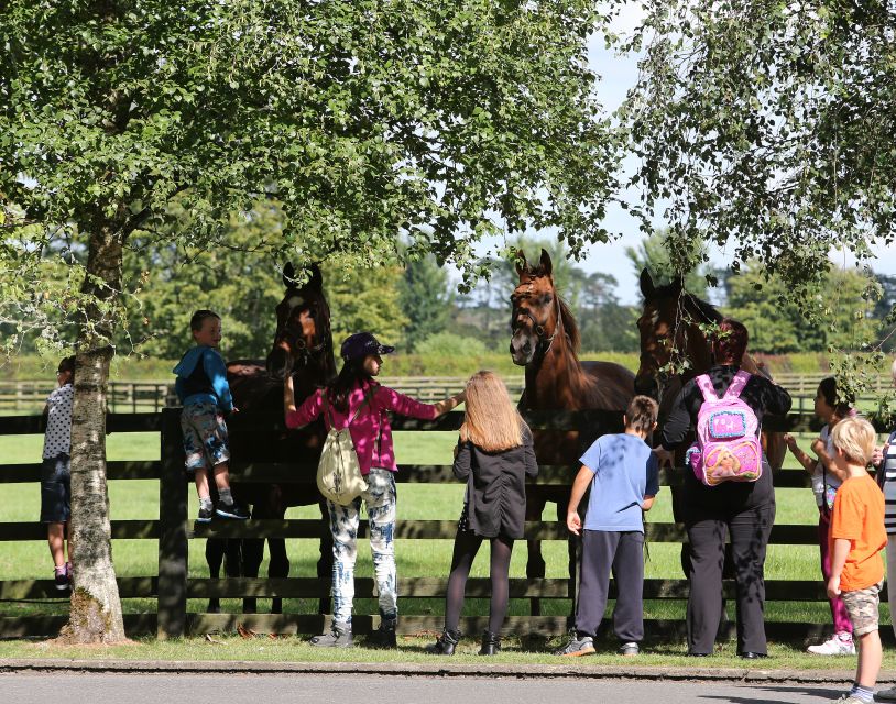 Kildare: Irish National Stud & Gardens - Meeting the Living Legends