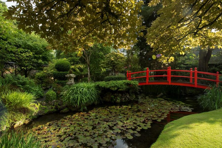 Kildare: Irish National Stud & Gardens - The Irish Racehorse Experience