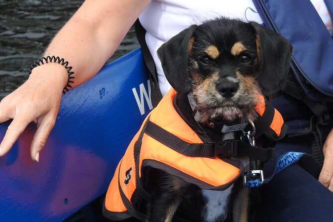 Kilkenny Boat Trip - How long is 40 minutes on the Nore?